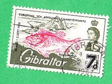 GIBILTERRA Gibraltar Pesce scorpione 7d 7 pence 1966 #frb160