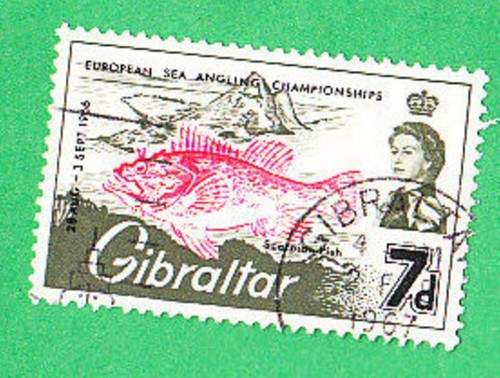 Gibilterra gibraltar pesce - gibilterra,