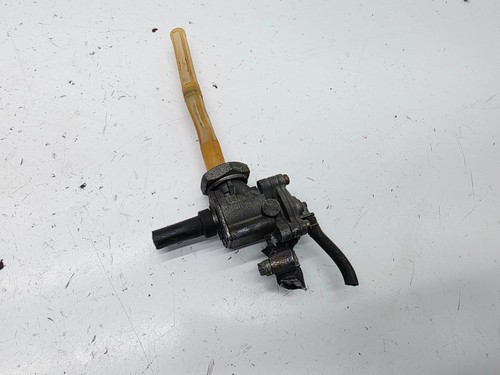 Honda hornet 600 2000 - hornet,