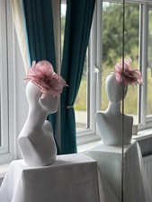 Splendido fascinatore rosa