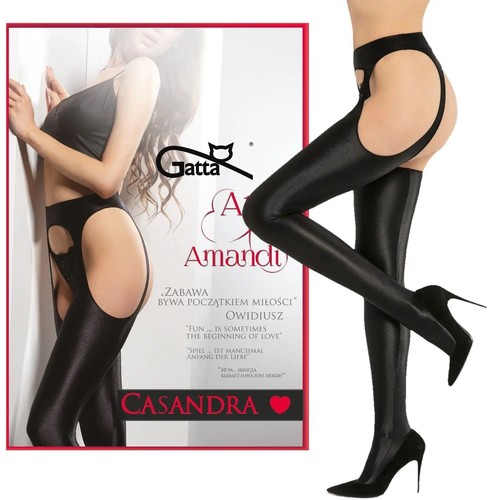 Gatta ars amandi - amandi, casandra
