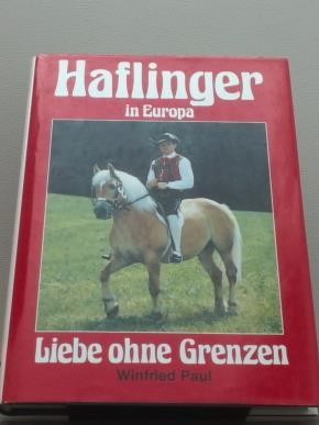 Haflinger europa liebe - haflinger, europa,