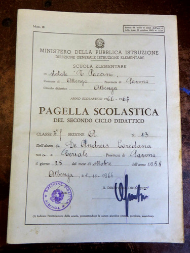 Pagella scolastica anno - pagella,