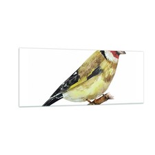 Quadro su Vetro 100x40cm