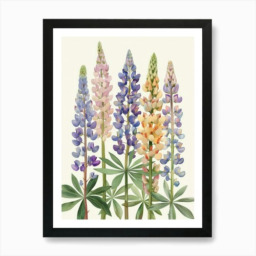Lupini stampa artistica con - lupini, 1
