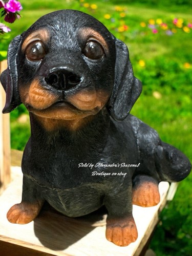 Adorabile salsiccia cane - adorabile,