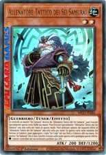 ALLENATORE TATTICO DEI SEI