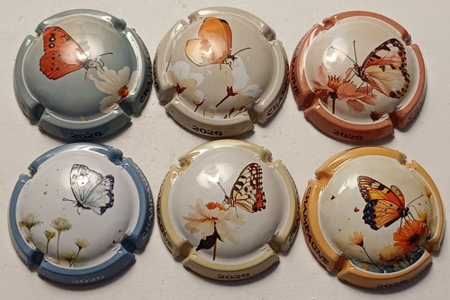 Belles capsules champagne - 6,