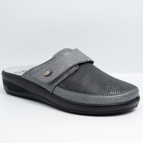 Scholl maureen memory - dr,