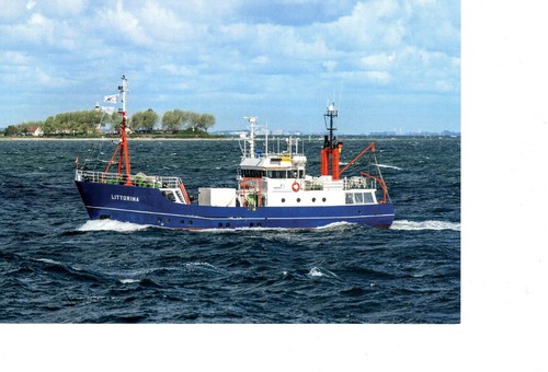 Cartolina non scritta nave - , da