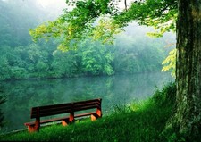 386663 Panchina da parco vuota