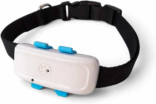 Tk911 lte collare - collare, gps