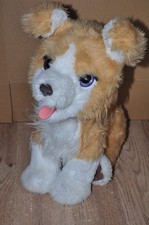 Pelliccia Real Pets Lexie