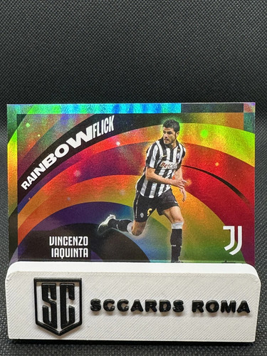 Vincenzo iaquinta raimbow - vincenzo,