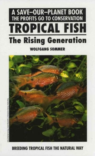 Tropical fish the rising - tropical,