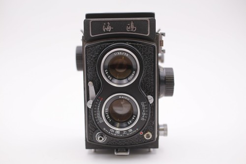 Gabbiano 6x6 per - gabbiano,