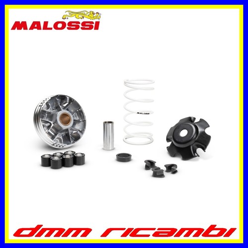Variatore malossi multivar - malossi,