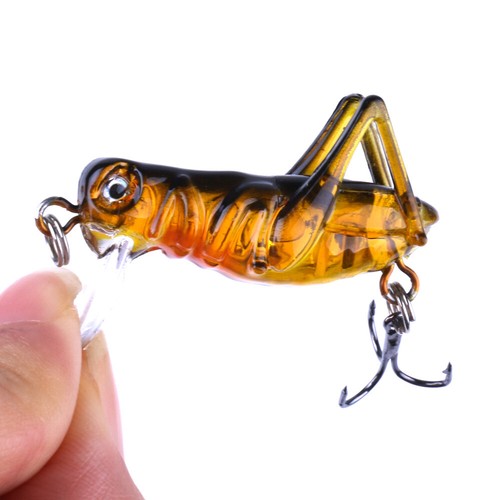 1pz 5cm cavalletta - 1pz,