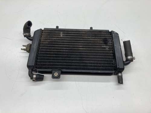 Radiatore radiator acqua - radiatore,