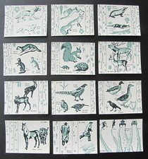 POSTER STAMPS FOOTPRINTS DOG