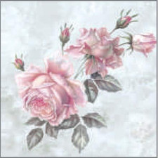 20 Tovaglioli Esclusivi per