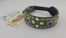 Collare cane piccolo