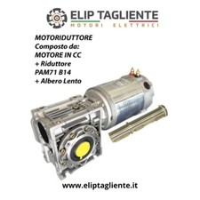 Motoriduttore 12v 800w rpm - 65,