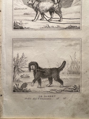 Antica illustrazione 1835 - antica,
