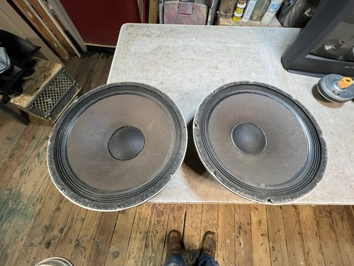 Woofer peavey black widow - woofer,