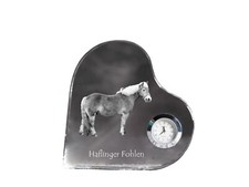 Haflinger puledri - haflinger,