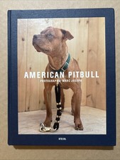 American Pitbull Photography