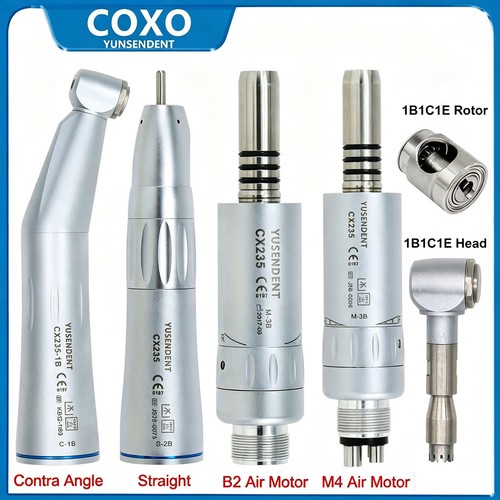 Coxo manipolo dentale bassa - coxo,