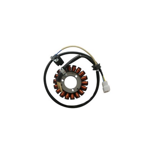 Statore campo magnetico - statore,