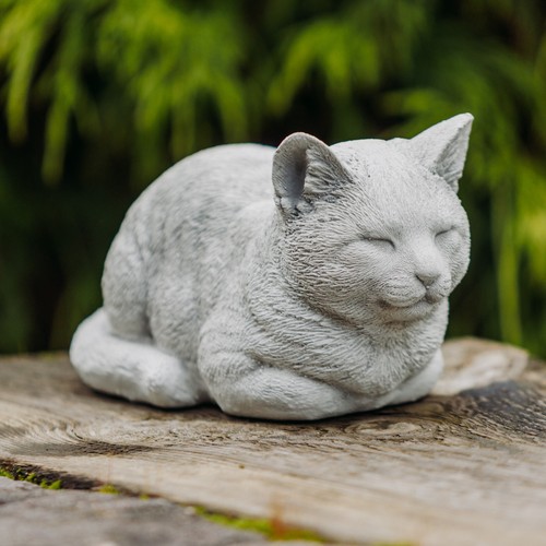 Gatto gattino statua - , in