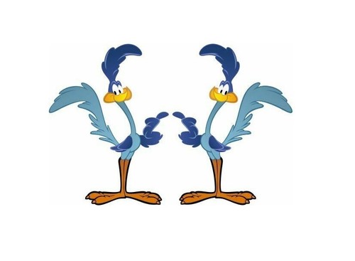 Adesivi road runner - 2, tramp