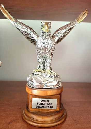 Aquila reale del corpo - reale,