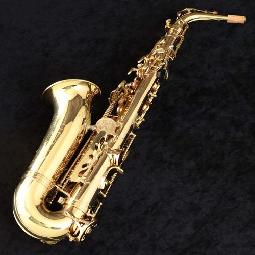 Sassofono contralto buffet - sassofono,