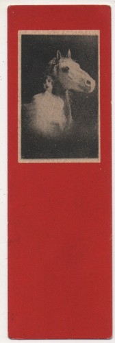 Art nouveau mignonette - mignonette,
