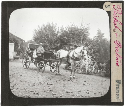 Vertou cavallo carrozza - vertou,,