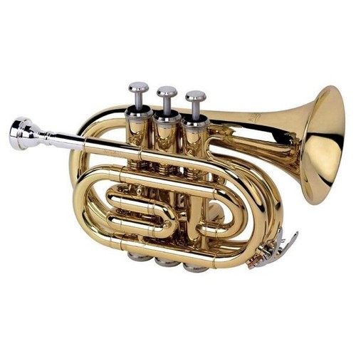 Alysee tromba pocket sib