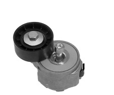 TENDICINGHIA CINGHIA SERVIZI