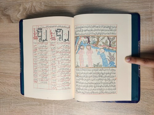 Reprint manuscript book - reprint,