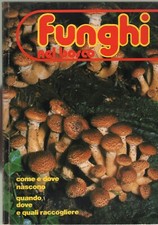 FUNGHI NEL BOSCO- SCUOLA DI