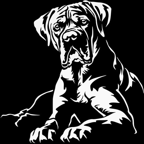 Adesivo dogo argentino - adesivo,