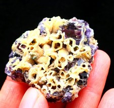 57,7 g fantasma viola naturale