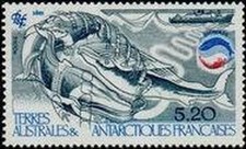 TERRE AUSTRALI N°114