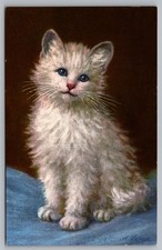 Cartolina Carino Gattino Gatto Una Lampada Stohli