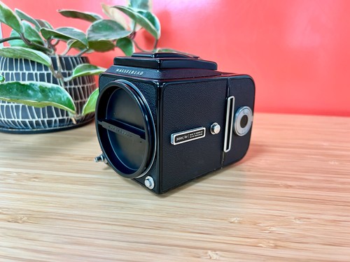 Film tested hasselblad 500 - tested*,