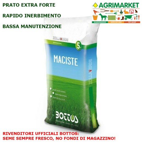 Miscuglio prato inglese