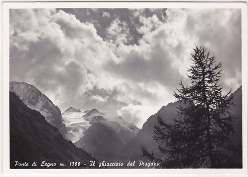 Ponte legno brescia il - di,